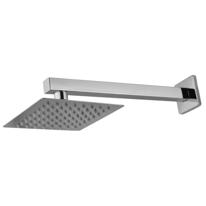 4106 - Chuveiro articulado inox platz